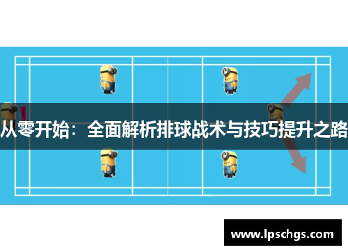 从零开始：全面解析排球战术与技巧提升之路