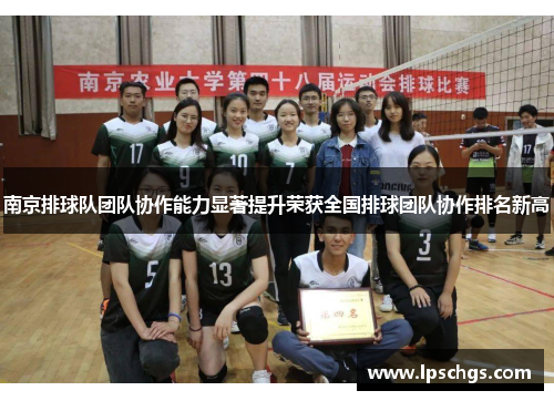 南京排球队团队协作能力显著提升荣获全国排球团队协作排名新高