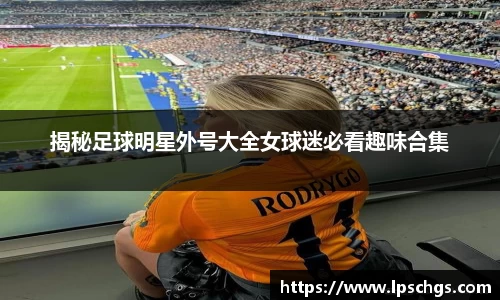 星空·综合体育中国官网